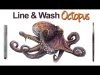 Line and Wash Octopus Combining Pen and Ink and Watercolor
