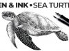 Pen and Ink Drawing quotSea Turtlequot