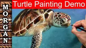 Turtle Oil Painting Demo Jason Morgan wildlife art