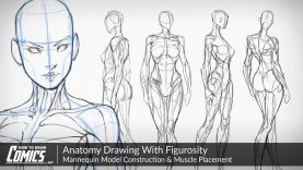 Anatomy Drawing With Figurosity Mannequin Model Construction amp Muscle Placement