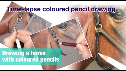 Drawing a horse with coloured pencil time lapse