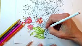 How To Use a White Colored Pencil for Blending
