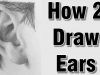 how to draw ears in pencil drawing