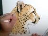 Cheetah Watercolor amp Ink Speed Paint