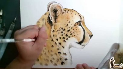 Cheetah Watercolor amp Ink Speed Paint