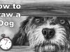 How to Draw a Dog at the Gate in Pencil Time Lapse