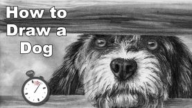 How to Draw a Dog at the Gate in Pencil Time Lapse