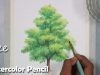 How to Paint A Tree with Watercolor Pencil