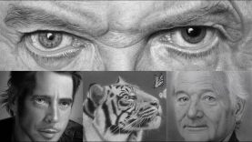 Hyperrealistic Pencil Drawing People amp Animals