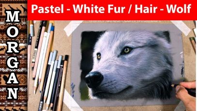 PASTELS White Hair Fur Wolf Panpastel Pastel Pencil
