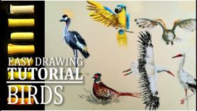 Let39s sketch birds in soft pastels Easy drawing tutorial