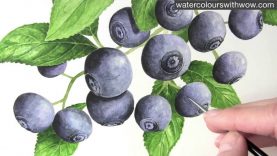 How to paint fruit in watercolor blueberry 39bloom39 by Anna Mason