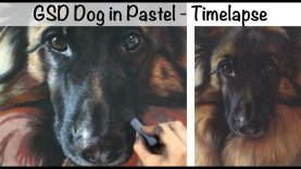 German Shepherd Dog in Soft Pastel Timelapse