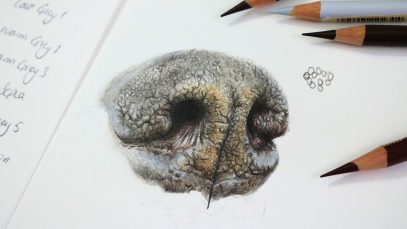 How To Draw a Realistic Dog Nose with Colored Pencil Step by Step