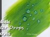 How to Paint Realistic Water Drops in Acrylic