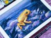 The Magic of the Golden Toad AAC Painting