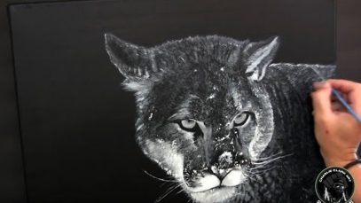 timelapse painting Wildlife Painting Time lapse quotHidden Silencequot CougarMountain Lion