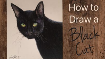 Cat Drawing Tutorial With Colored Pencils By Artist Andrea Kirk The Art Chik