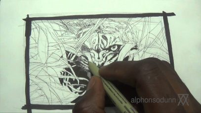 Pen amp Ink Drawing Tutorials How to draw a tiger