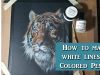 How to get white lines and details in colored pencil real time drawing w Lachri