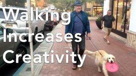 The Art of Walking Increase Your Creativity