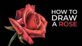 How to Draw a Rose Pastels