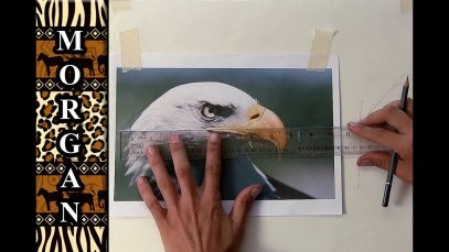 How to Transfer a Drawing photo to Canvas for Painting Jason Morgan Wildlife Art