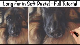 How to Paint Long Fur in Soft Pastel