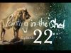 Painting in the Shed 22 How to paint male lion full body