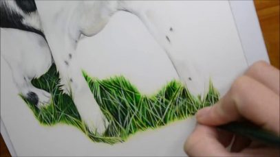 HOW TO DRAW GRASS USING COLOUR PENCIL TIME LAPSE