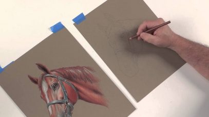 Sneak Peek Creating a Horse Portrait in Colored Pencil