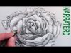 How to Draw a Rose Narrated Pencil Drawing