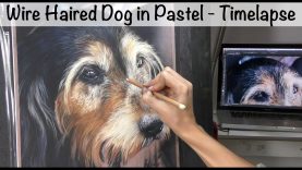 Wire Haired Dog in Pastel Timelapse