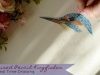 Coloured Pencil Kingfisher Drawing REAL TIME