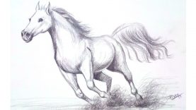 How to draw a horse step by step Pencil shading drawing