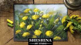 How to draw yellow aconites with soft pastels? REAL-TIME - PaintingTube