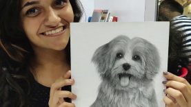 How to draw Hyper Realistic Dog Sketch Portrait Sketch of Dog Timelapse Pencil Perceptions