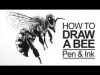 Pen and Ink Lesson How to Draw a Bee