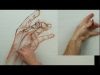 ANATOMY FOR ARTISTS Living Anatomy Hands