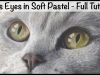 How To Paint Cat39s Eyes in Soft Pastel Full Tutorial