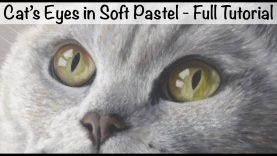 How To Paint Cat39s Eyes in Soft Pastel Full Tutorial