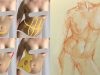 The Most Overlooked Life Drawing Topic FAT