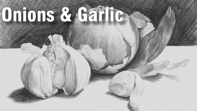 how to draw a still life with onions amp garlic in pencil 1