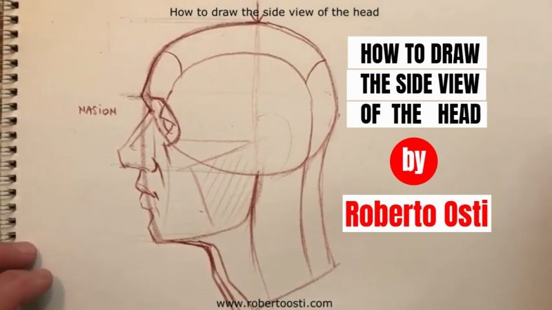 How to draw head - Front view using Andrew Loomis method - PaintingTube