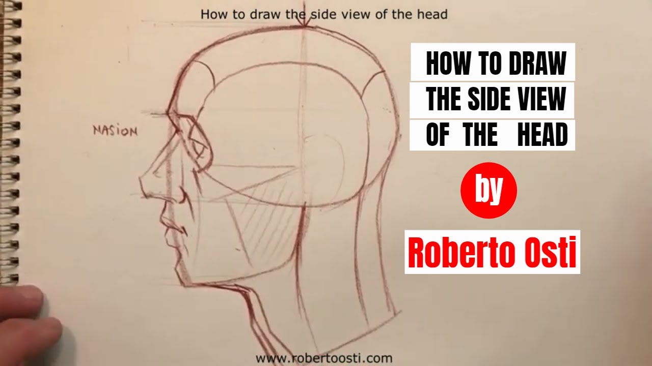 how to draw a human head side view