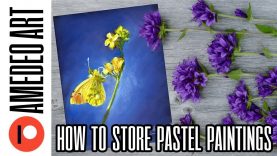 How to store and protect soft pastel artwork Kate Amedeo