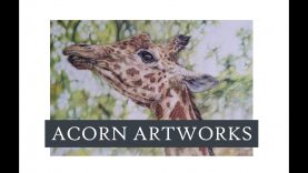 Acorn Artworks Full Tutorial Giraffe in Coloured Pencil Polychromos