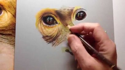 Photorealistic Speed Drawing of an Orangutan