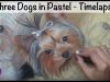 Painting Dogs in Pastel Timelapse