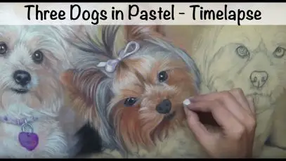 Painting Dogs in Pastel Timelapse